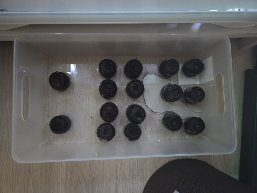 베란다 텃밭용으로 바질 6종, 토마토 8종, 루꼴라와 고추를 파종한 지피펠렛 16개